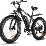 Speedrid Ebike Review