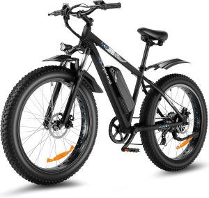 Speedrid Ebike Review