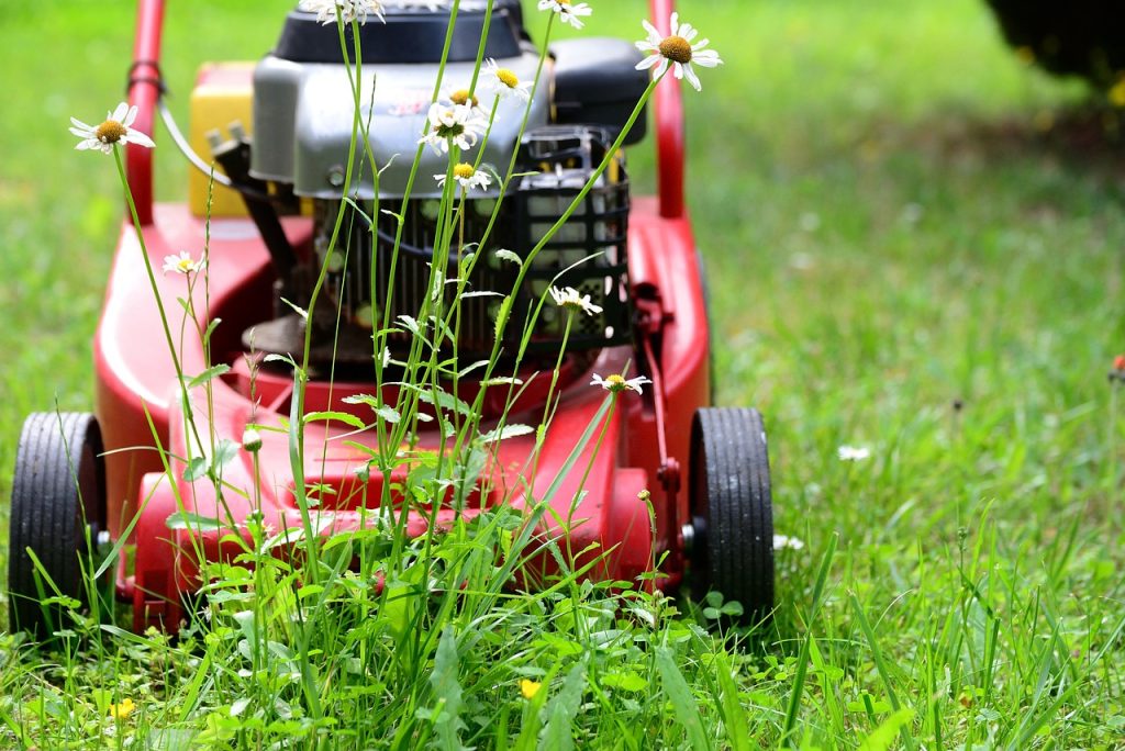 lawn mower, mow, gardening-5329533.jpg