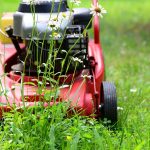 lawn mower, mow, gardening-5329533.jpg